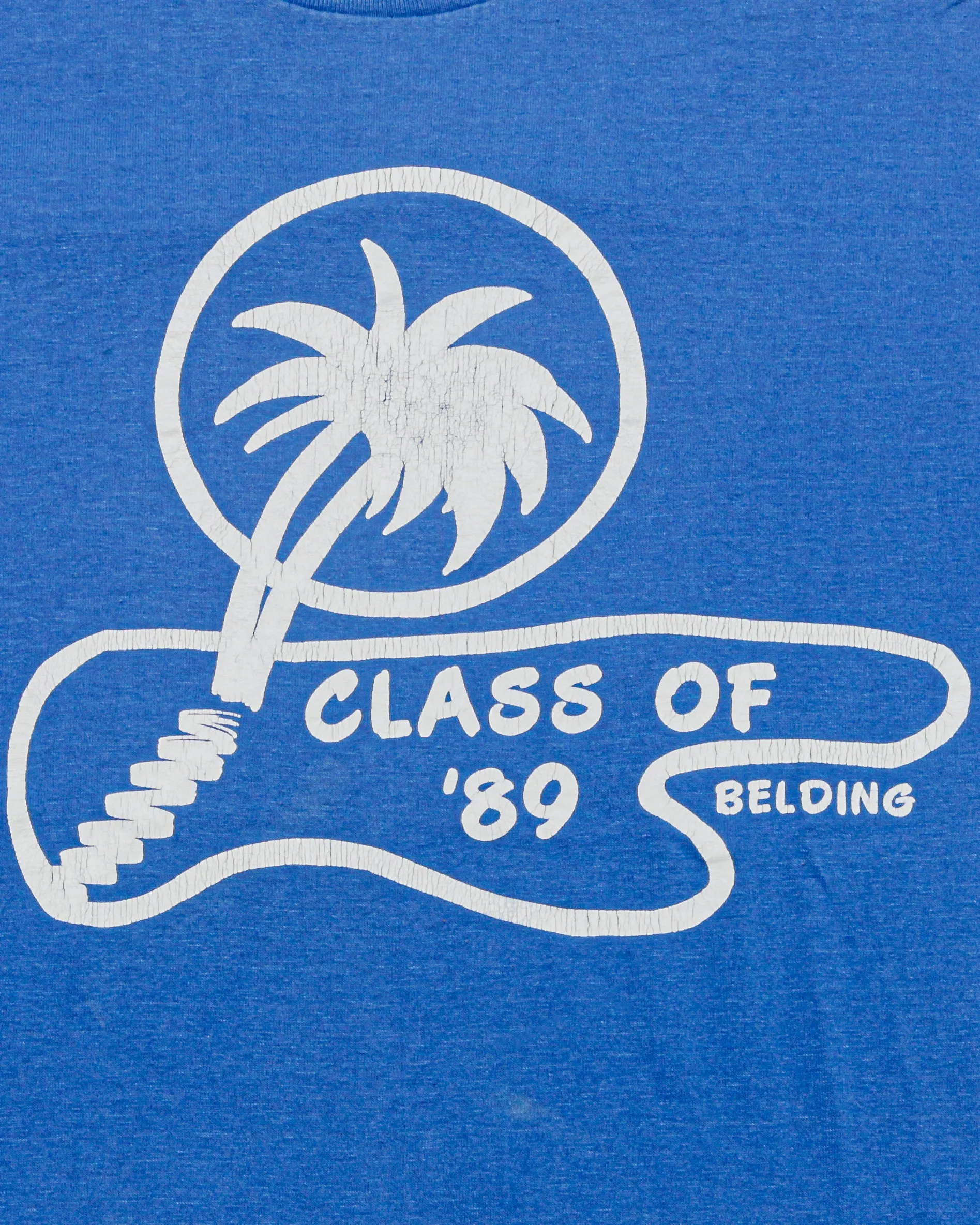 1989 Belding Class of 1989 Palm Tree Vintage T-Shirt