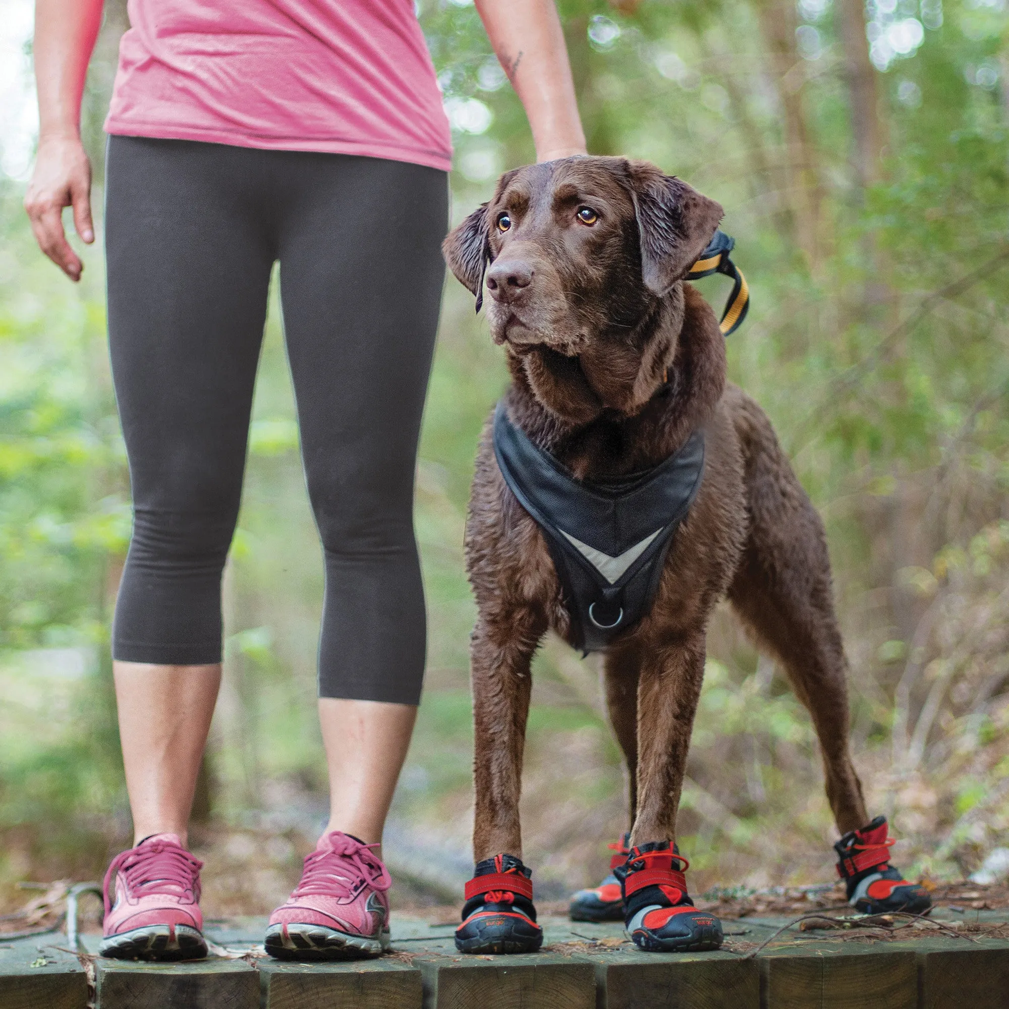 Blaze Cross Dog Shoes