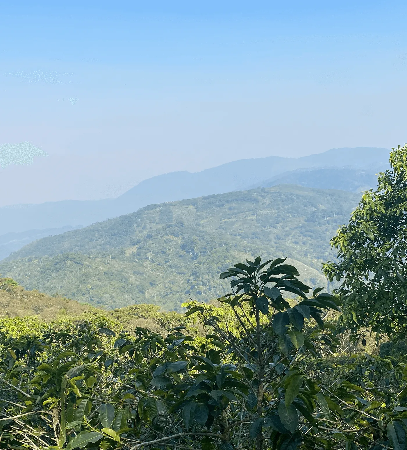 Honduras El Brujo