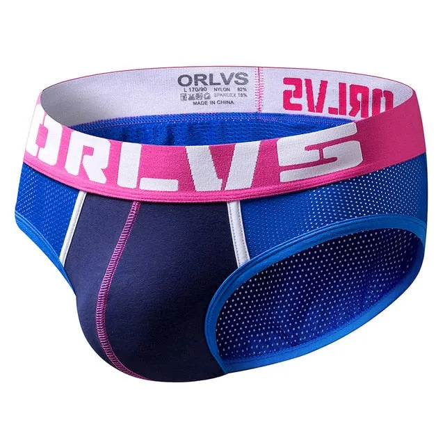 ORLVS Mesh